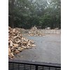 2021 Cord King M2030 Firewood Processor